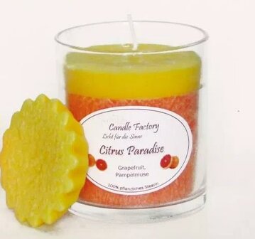 Citrus Paradise Party Line Wellness Duftkerze 